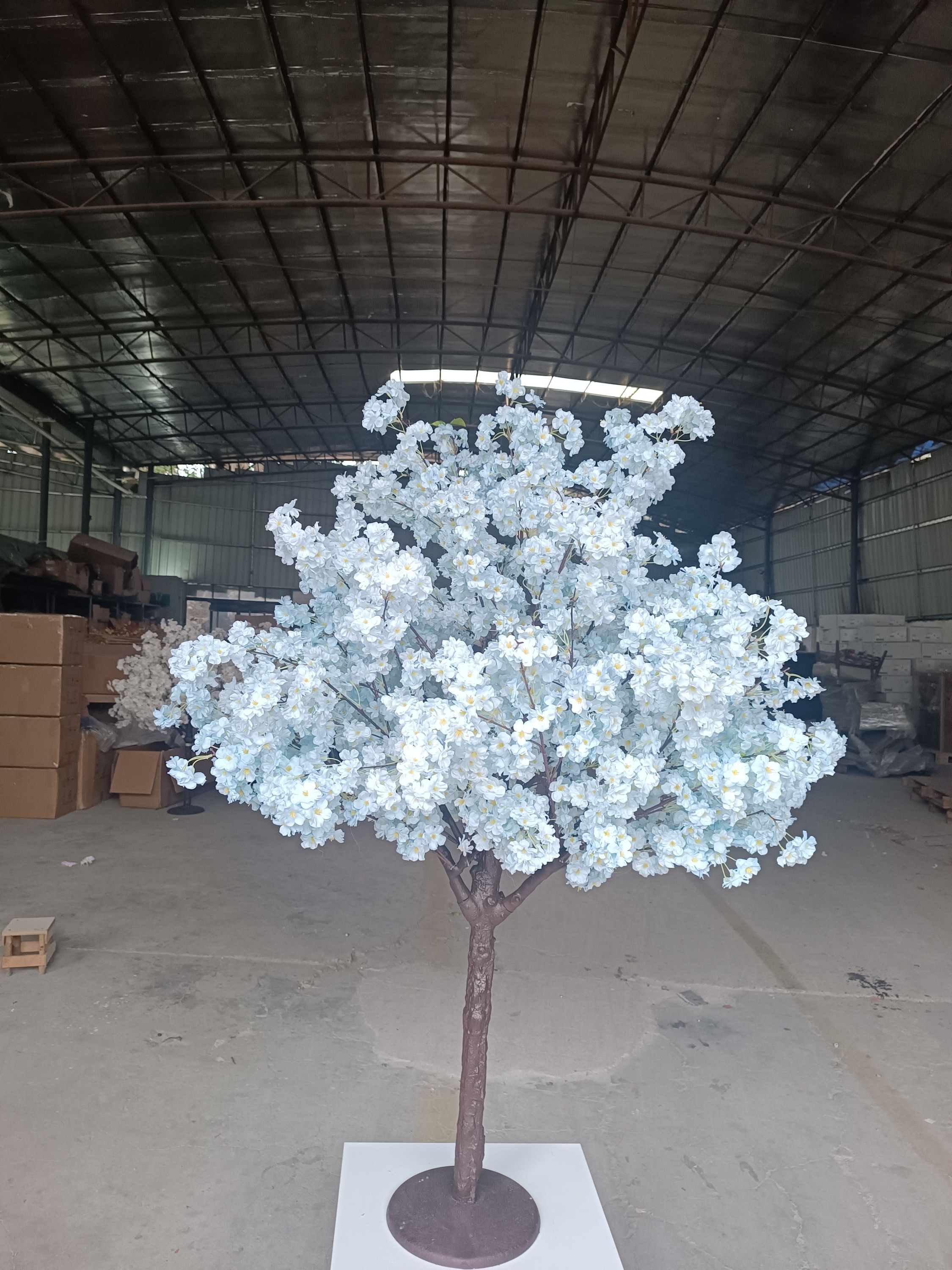 Arbre à fleurs de cerisier à étamines bleues et jaunes