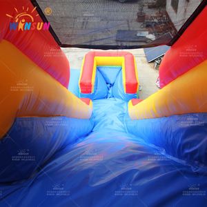 Winsun Slide Grand toboggan aquatique gonflable en PVC pour l'extérieur, toboggan aquatique en forme de palmier avec couleur et taille personnalisées - Product Image 5