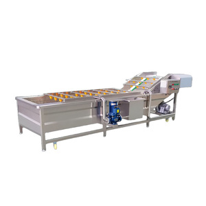 Ligne de lavage automatique de fruits et légumes pour usines de transformation avec moteur et pompe - Product Image 4