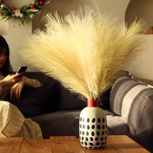 Fleurs artificielles d'herbe <span class=keywords><strong>de</strong></span> <span class=keywords><strong>pampa</strong></span>-Herbe <span class=keywords><strong>de</strong></span> <span class=keywords><strong>pampa</strong></span> artificielle <span class=keywords><strong>de</strong></span> haute qualité et herbe <span class=keywords><strong>de</strong></span> <span class=keywords><strong>pampa</strong></span> rouge pour une décoration élégante pour la maison et l'événement - Product Image 6