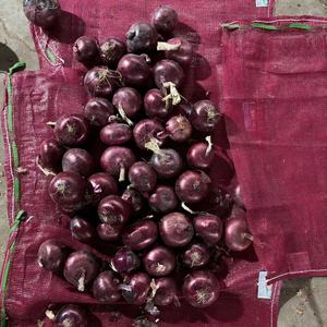 Màu Đỏ Tươi Hành Tây Hot Bán Nhà Máy Giá Rau Cung Cấp Từ Ấn Độ Hành Tây Nhà Máy - Product Image 4