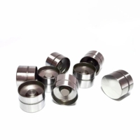 Van tappets 034109309ad 034109309, 034109309ac 420002210 hl5317 tappet thủy lực nâng lên cho VW Golf 8V GTI Audi 034109309ad