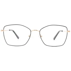 온주 xinyuan 광학 두 색상 안경 공장 중국 금속 안경 안경 프레임 안경 광장 슬림 베젤