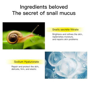 カタツムリムシン修理血清 - Product Image 5