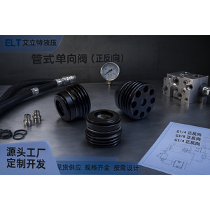 Vanne de retenue hydraulique unidirectionnelle mini en ligne G3/8 en acier au carbone - Product Image 2