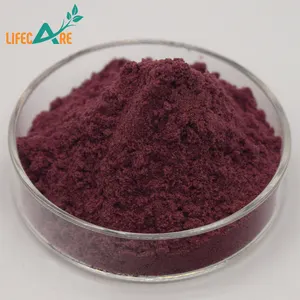 100% Pure And Nature Cosmetic Ingredients Blueberry Fruit Extract Powder Best Price