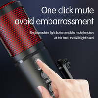 SU9 Kabelloses USB-Kondensatormikrofon 2,4G RGB Gaming-Mikrofon mit Geräuschunterdrückung und Echo für PC Live-Streaming Aufnahme