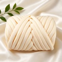 Fil à crocheter Nano Super Bulky Ice Strip 2,5 cm à âme souple pour la mode, le bricolage, la décoration intérieure, les barrières anti-chute, les sacs au crochet, les lits pour chats et les couvertures