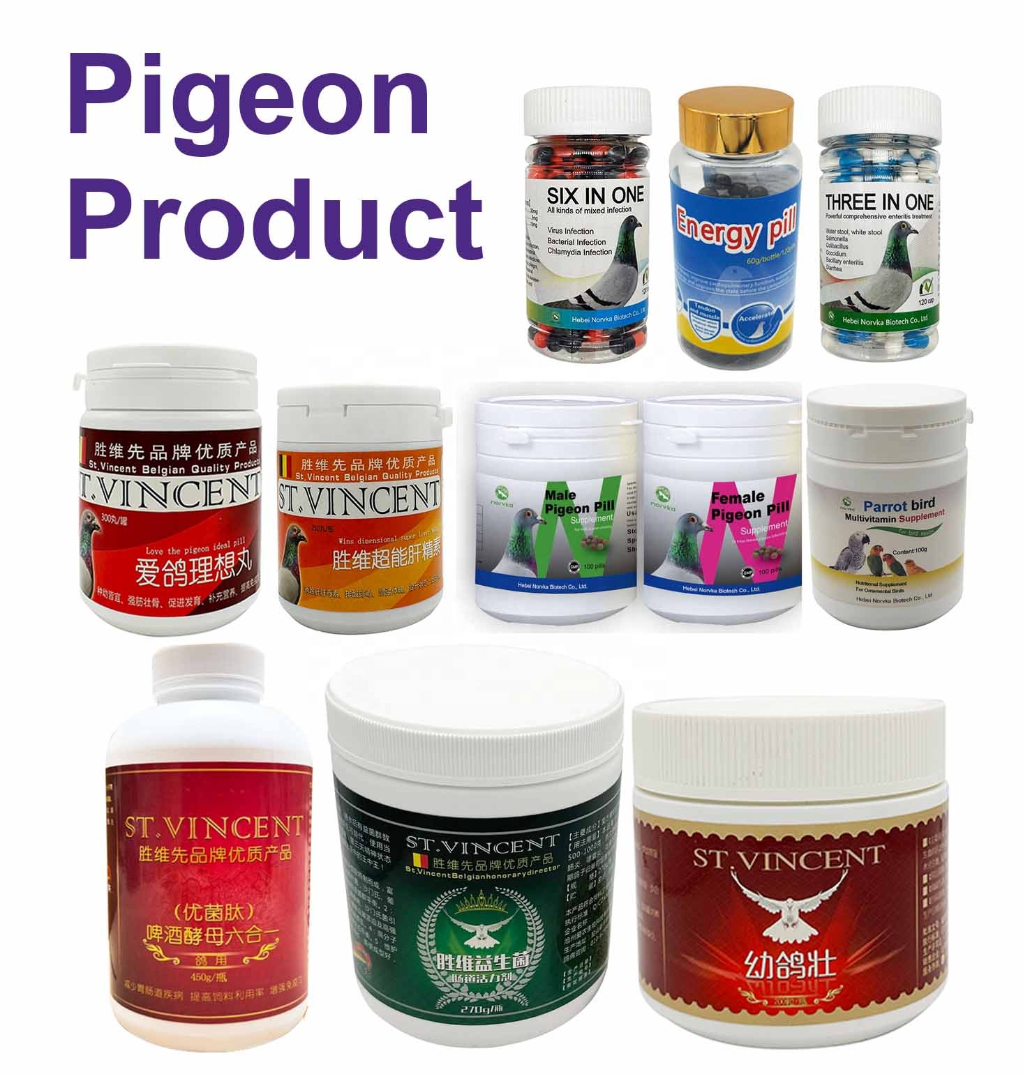 pigeon health