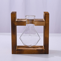 Vase en Verre Transparent sur Support en Bois Créatif, Petit Vase Hydroponique pour Plantes, Décoration de Bureau ou de Maison, Terrarium avec Socle en Bois