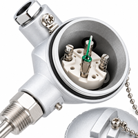 WZP-330/WRN-330 Termokopel Flens Aktif PT100 Sensor Suhu Tahan Platinum OEM IP65 Baja Tahan Karat 0.5C