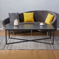 Table basse de salon de style moderne raffiné de haute qualité avec un cadre en fer robuste