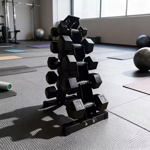 Soporte para Mancuernas XLAN, Solo un Estructural para Colocar Mancuernas en Casa o en el Gimnasio - Product Image 6