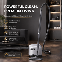 Aspirateur professionnel CE haute température à forte aspiration pour nettoyage en profondeur, machine de nettoyage de canapé domestique, nettoyeur vapeur de taches pour tapis