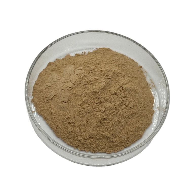 Sumac Powder Fisetin Galla Chinensis / Rhus Chinensis Extract Sumac Extract