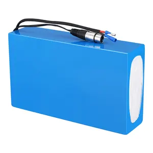 Produttore di Alimentazione Agli Ioni di Litio Fabbrica Rad Biciclette Elettriche Biciclette 18650 20a 48v 20ah 960w Batteria