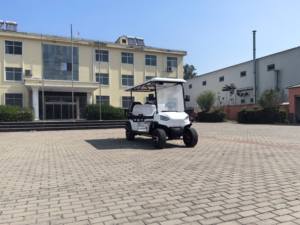 Barato coche de golf de doble asiento 4 plazas coche de Club eléctrico carrito de golf asequible 2 plazas mini coche de turismo golf - Product Image 4