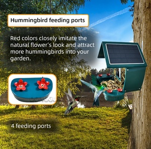 Vente en gros AI identifie plus de 10000 espèces d'oiseaux mangeoire d'oiseaux à caméra intelligente activée par le mouvement avec panneaux solaires - Product Image 2