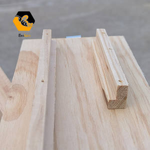 Panal de observación con agujeros de ventilación, con mango de transporte, para enseñanza en pino de Nueva Zelanda - Product Image 3