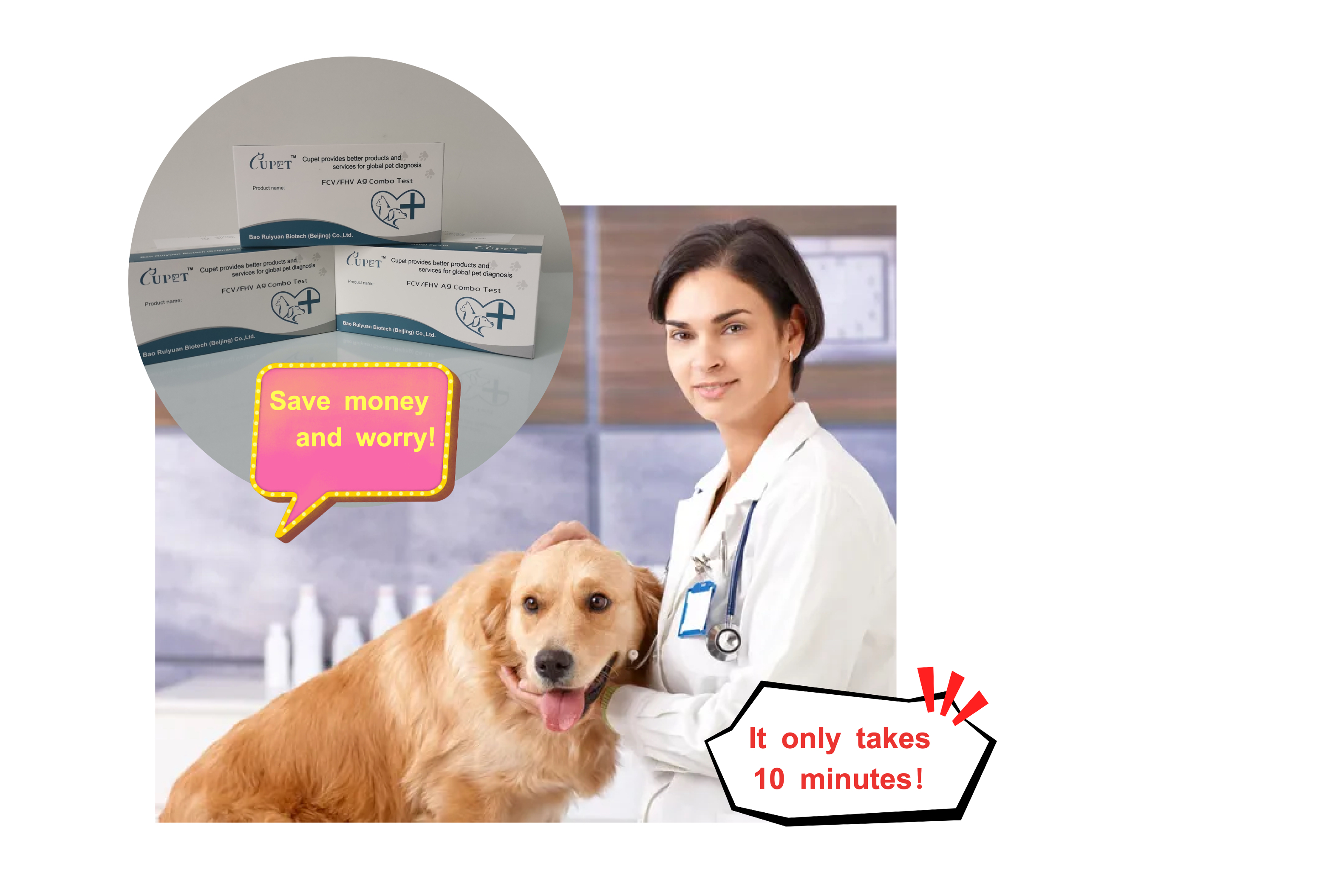 High Quality CDV CPV Ag Test Home Test Use PET Canine Parvovirus