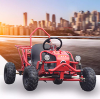 Usine en gros électrique et gaz Go Karts pour adultes et enfants | Racing Go Carts Fabricant | OEM et personnalisé disponible