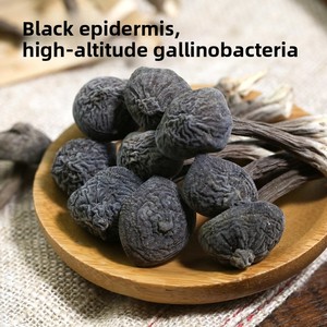 Funghi Termitomyces Selvatici Essiccati di Alta Qualità 100g per Creazioni Culinarie - Product Image 4