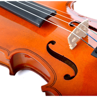 Violons professionnels de marque Deviser, violon d'étude 4/4