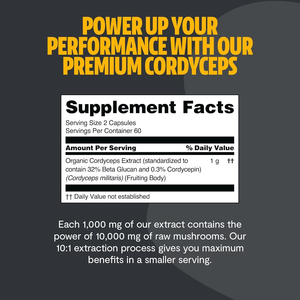 <span class=keywords><strong>Cordyceps</strong></span> mantar kapsülleri sağlık takviyesi diyet katkı OEM ODM üretim modeli - Product Image 3