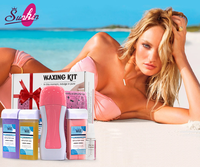 Chauffe-cire roll-on double face pour usage domestique, kit d'épilation avec thermostat électronique pour le nez, les mains, le corps, les pieds et la tête