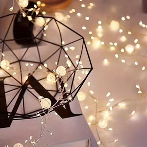 LED Globe Fairy <b>String</b> <b>Lights</b>, Battery Operated Decorative Twinkle <b>Lights</b> for Bedroom, Wedding, Party, Christmas, Home, Garden - Product Image 2