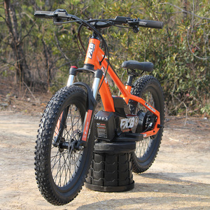 Scooter électrique pour enfants de <span class=keywords><strong>20</strong></span> <span class=keywords><strong>pouces</strong></span> 800W 5.0AH étanche lithium intégré 36V vélo d'équilibre de course électrique - Product Image 2
