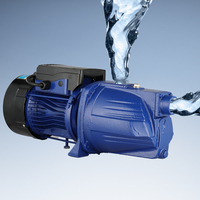 Pompe à jet 220v50Hz haute tête et pompe de surpression de pipeline d'eau de puits domestique industrielle à haut débit