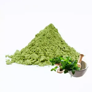 Hot Sale Peppermint Leaf Extract Peppermint Extract Powder Mint Leaf Powder