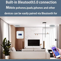 Bluetooth arka plan müzik ana bilgisayar için müzik amplifikatör 86 kutu İngilizce ev amplifikatör Bluetooth amplifikatör için duvar ile