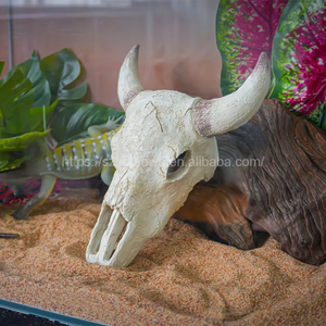 21cm Simulation personnalisable Afrique corne <span class=keywords><strong>de</strong></span> <span class=keywords><strong>taureau</strong></span> crâne nouveau Reptile amphibiens scène animale lézard Geckos araignée aquarium décoration - Product Image 2