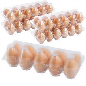 ถาดใส่ไข่พลาสติกใสคุณภาพสูง 15 หลุม เป็นมิตรกับสิ่งแวดล้อม กล่องกระดาษแข็งรีไซเคิลได้ ผลิตจากวัสดุ PP เหมาะสำหรับใช้ในซูเปอร์มาร์เก็ตและฟาร์ม - Product Image 1