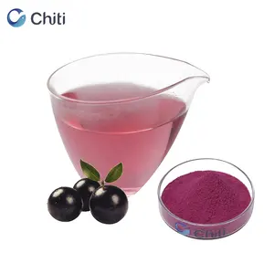 Chiti Hot selling contain syringic acid Sustainably Grown Great Flavor for Drinks Instant powder Acai berry extract powder