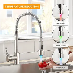 Keran kuningan padat dengan LED Pull Out semprot keran dapur nikel keran air Gourmet keran dapur keran Mixer air panas dingin