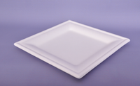 Ensemble de vaisselle jetable biodégradable et compostable en bambou avec couvercle alimentaire sécurisé pour hôtels et fêtes, fabriqué à partir d'assiettes en papier