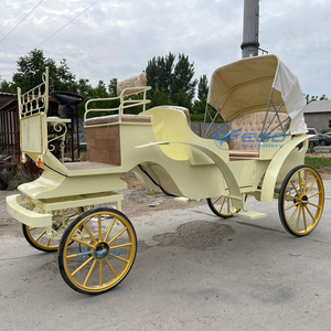Calèche sans chevaux 6 places, excellent prix, véhicule de tourisme, calèche électrique de mariage, calèche royale à vendre - Product Image 4