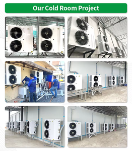 USA 220V 60Hz Single phase 5HP lạnh lưu trữ làm mát bằng không khí mát phòng ngưng tụ ngưng tụ đơn vị - Product Image 6