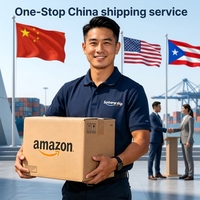 Agent de dropshipping professionnel DDP Amazon TK AliExpress 1688 Shopify Contrôle qualité Europe USA Livraison aérienne rapide Chine 24/7