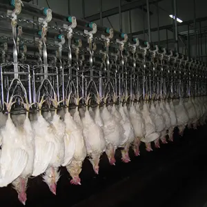 Poultry Slaughtering Line Special Chain Slaughtering Chickens Ducks And Geese Mobile Transport Slide Connecting Chain