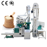 Machine d'épluchage de balle de riz combinée 1 tonne par trieuse de couleur de machine de moulin à riz d'heure/machine de polissage de riz