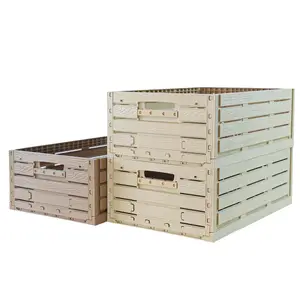 Custom Wood Design Large Storage Container With Lid Beige Color Plastic Foldable Crate