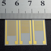 Chip Biosensor de Humedad de Gas con Electrodo Interdigital de Sustrato Cerámico de 100um 20*10mm