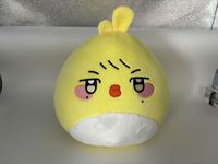 OEM ODM SKZ Bantal Boneka  Anime Anjing Kustom Bantal Boneka Lembut Personal  Mainan Boneka SKZOO