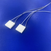 Module de refroidissement thermoélectrique à semi-conducteurs, mini-puce Peltier TEC 20*20mm