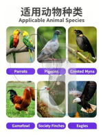 Nébuliseur vétérinaire portable en maille pour oiseaux, animaux de compagnie, chats, chiens, dispositif d'inhalation pour soins respiratoires en cas de pathologies à long terme