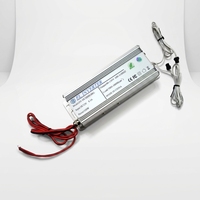 Invertisseur pour feuille EL 3000cm² DC12V avec modes Lumière constante/Flash/Arrêt, Boîtier de refroidissement en aluminium, Paramètres personnalisables selon les besoins